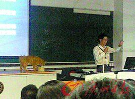 北大校貓 北大校貓