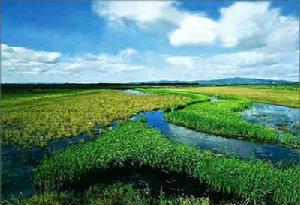 橫亘於中部的完達山脈將平原分為南北兩部分：北部是沼澤化低平原