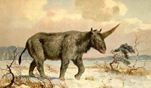 獨角獸[冰河時期形似犀牛的西伯利亞獨角獸]