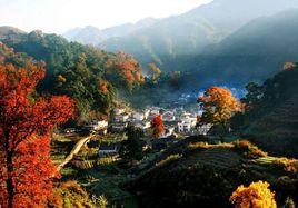 源頭村[山東省青島市城陽區夏莊街道下轄村]