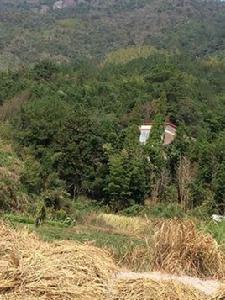 哈竹坑革命老區