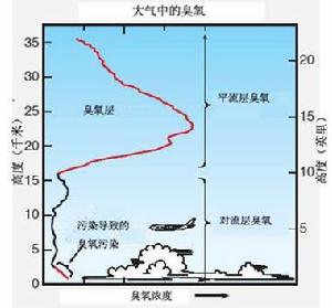 國際臭氧層保護日