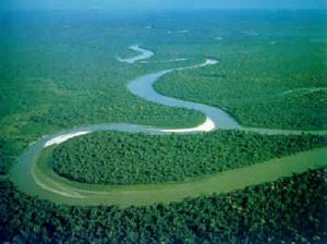 亞馬遜平原