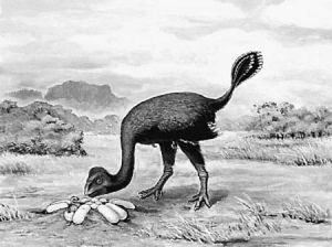 黃氏河源龍 黃氏河源龍