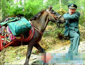 郵政普遍服務基金 郵政普遍服務基金