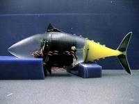 機器鮪魚 機器鮪魚