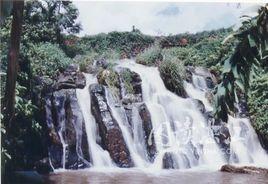 徐聞響水潭 徐聞響水潭