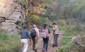 青松嶺村 青松嶺村