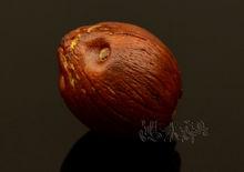 不同角度的單籽紫金鼠