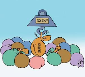 垃圾計量制 垃圾計量制