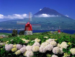 葡萄牙亞速爾群島大學 葡萄牙亞速爾群島大學