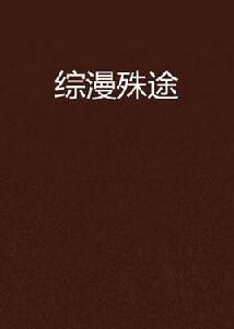 綜漫殊途 綜漫殊途