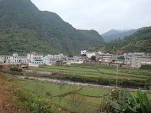 中和鎮[雲南省永仁縣中和鎮]