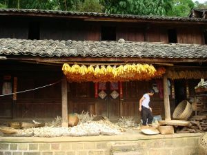 出陸箐自然村 出陸箐自然村