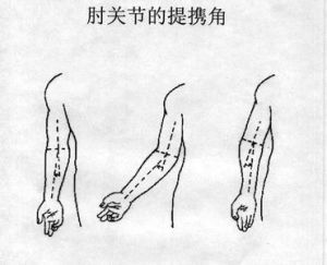 肘關節提攜角 肘關節提攜角