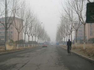 德意經典 德意經典