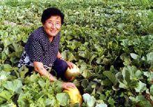 吳明珠與他的瓜