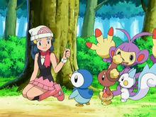 小光告訴神奇寶貝尋找草藥