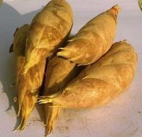 廣德笄山筍 廣德笄山筍