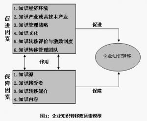 知識轉移雙因素模型