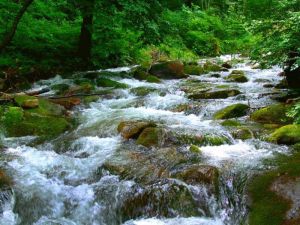 崗山國家森林公園
