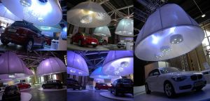 甲殼蟲培訓大會