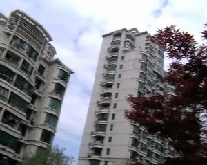 珠江香樟園 珠江香樟園