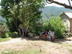 雪梨自然村 雪梨自然村