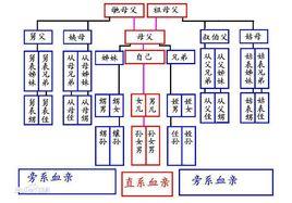 從父姑母 從父姑母