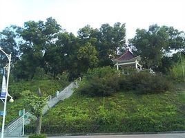 華南農業大學情人坡 華南農業大學情人坡