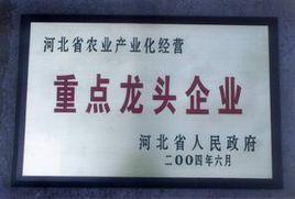 南沿村鎮 南沿村鎮