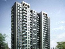 海韻陽光期 海韻陽光期