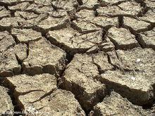 自然災害[自然界中所發生的異常現象]