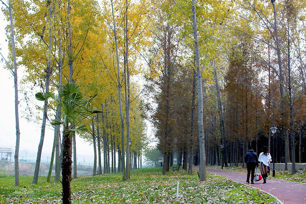 南陽李寧體育公園風景