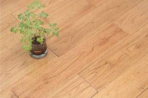 中國十大品牌地板 中國十大品牌地板