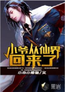 小爺從仙界回來了 小爺從仙界回來了
