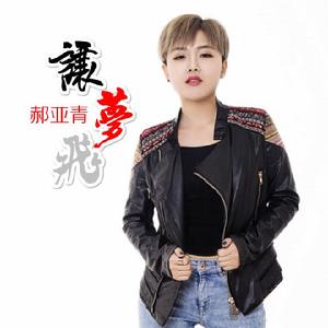 夢中的飛翔 夢中的飛翔