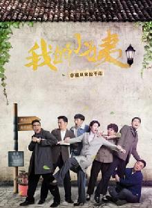 我的小姨[2016年顧晶執導電視劇]
