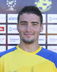 拉伊塞維奇 拉伊塞維奇