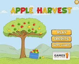 豐收的水果 豐收的水果