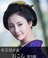 江戶盜賊團雙雄[日本2015年松山健一等主演的電視劇]