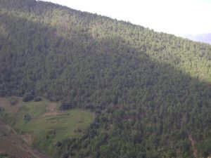 黑羊箐村 黑羊箐村