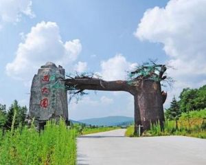 西大圈森林公園 西大圈森林公園