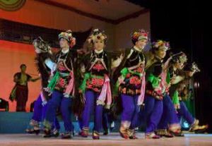 雲南省舞蹈家協會