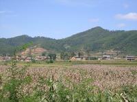 二道箐新寨村 二道箐新寨村