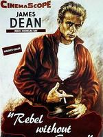 無因的反抗 無因的反抗