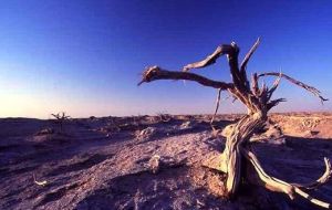 羅布泊，消逝的仙湖