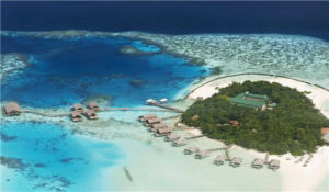 崗格海島 崗格海島