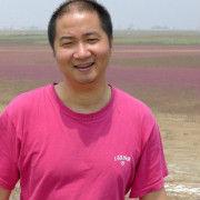 韓宏[電子科技大學計算機科學與工程學院副教授]