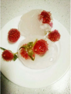 自製果凍 自製果凍